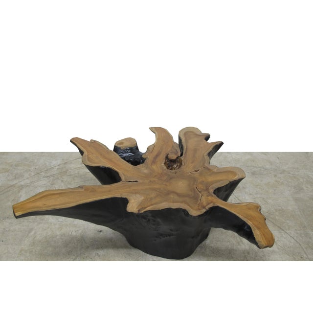 Coffee Organic Modern Star Teak Root Coffee Table For Sale - Image 8 of 10