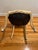 Antique Italian Louis XV Painted & Parcel-Gilt Dining Chairs, Set of 10 For Sale - Image 10 of 17