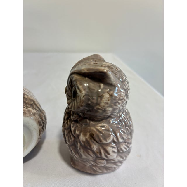Vintage Ceramic Owl Salt and Pepper Shakers — A Pair For Sale - Image 9 of 10