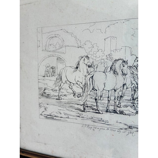 Antique White Antique Original Horse Etching, Circa 1700: Framed Equestrian Print For Sale - Image 8 of 10