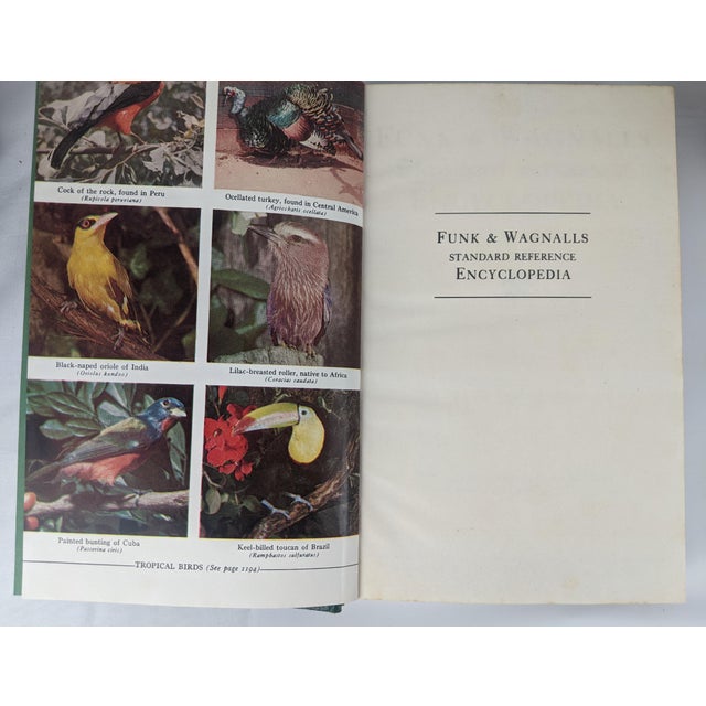 Vintage 1959 Funk & Wagnalls Green & Gilt Encyclopedia Books – Set of 11 For Sale - Image 11 of 14