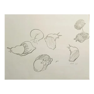 1967 Neil Meitzler Slug Drawing