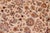 Floral Pak-Persian Beige/Tan Wool Rug - 9'1'' X 12'0'' For Sale - Image 4 of 9