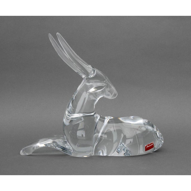 Baccarat Loet Vanderveen for Baccarat Crystal Antelope For Sale - Image 4 of 13