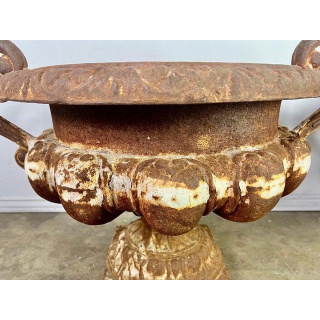 Mid 19th Century Large Pair of Antique Cast Iron Urn Planters, Europe, Early 20th Century For Sale - Image 5 of 16