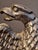 American Antique Cast Iron Eagle on Rock Doorstop Patriotic Americana Hubley or Albany For Sale - Image 3 of 17