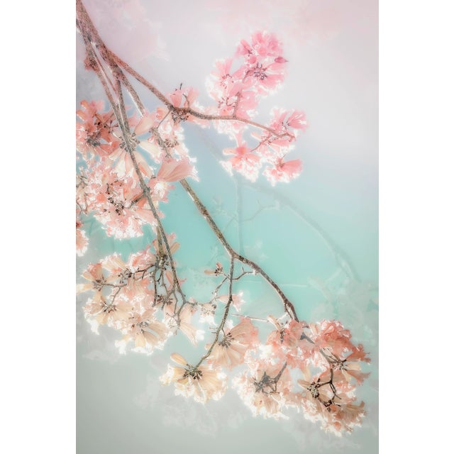 On a CLoud, 75x50 Contemporary, FIne Art Photography by Kristin Hart For Sale