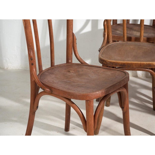 Antique Bentwood Chairs, Central Europe, 1900s, Set of 6 For Sale - Image 3 of 16