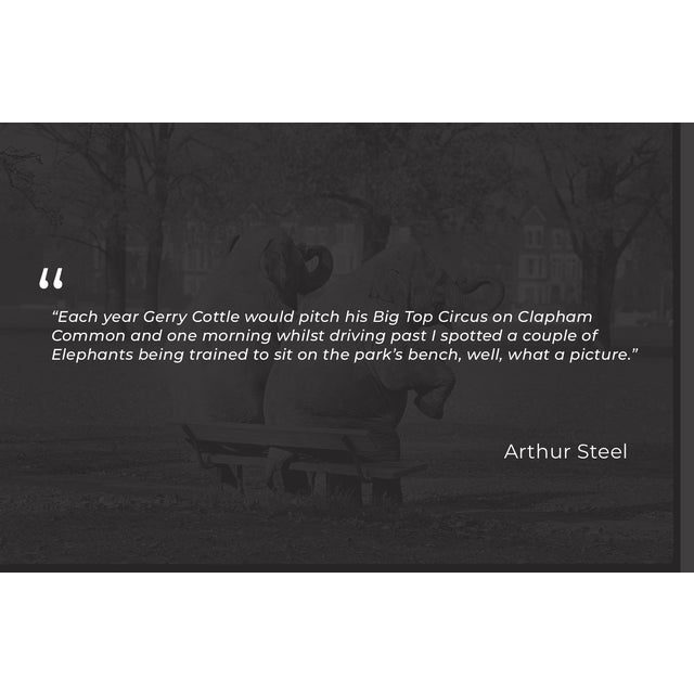 Bench Press – Elephants Maxi and Rami, Clapham Common 1974. Renowned British photojournalist Arthur Steel has spent...