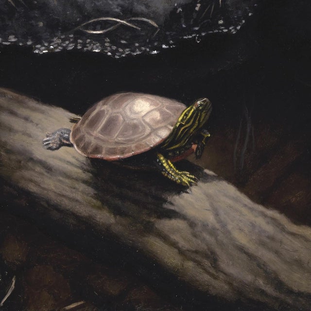 Wood Turtle and Squirrel by Susan McDonnell | Oil on Panel Woodland Animal Painting For Sale - Image 7 of 12