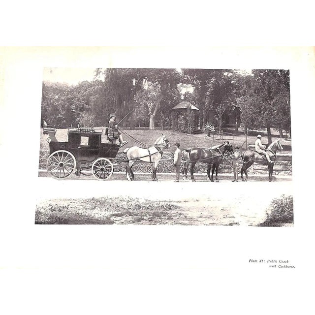 "Driving for Pleasure: Or, the Harness Stable and Its Appointments" 1897 Underhill, Francis T. For Sale - Image 12 of 13