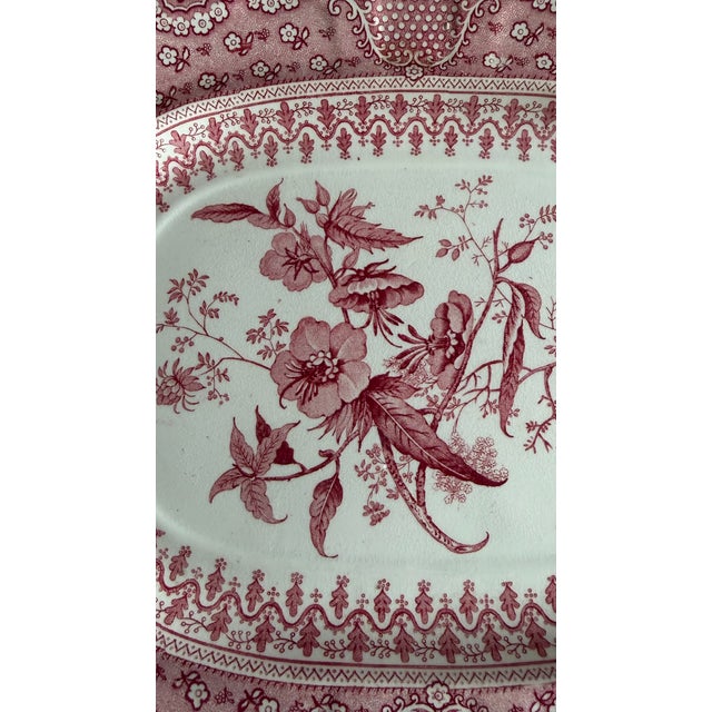 A Very Fine Antique Pink Transferware Decorated Staffordshire Platter "Asiatic Plants" Pattern, Circa 1840's Attributed to...