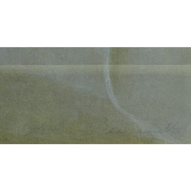 1990s Vintage White Lace and Ribbons Collotype by Patricia A. Pearce For Sale - Image 5 of 5