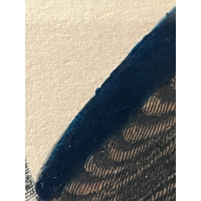 English Antique Hand Colored Bird Engravings Framed Mark Catesby Set For Sale - Image 3 of 14