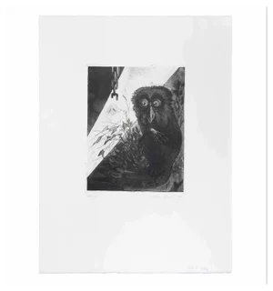 Leo Guida, Lemur, 1972, Etching