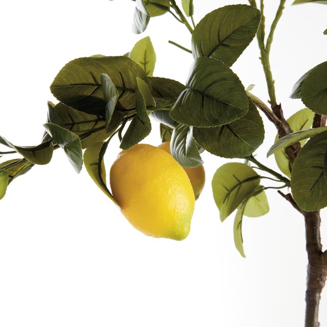 Made to look 100% realistic you, d swear this Lemon Tree Dropin was potted this morning. Great for coastal setting or...