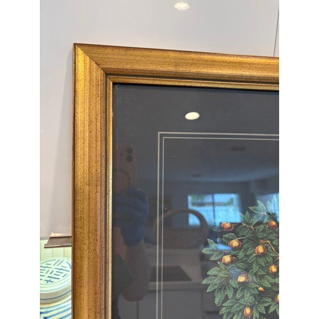 Hollywood Regency Vintage Orange Tree in Urn Lithograph Under Glass Gold Frame Reproduction For Sale - Image 3 of 9