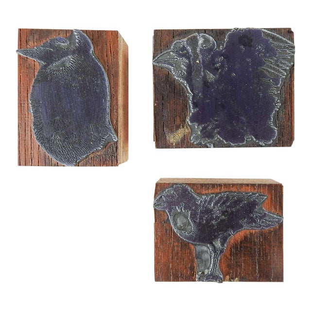 Etched Metal & Wood Print Blocks in the Manner of Leonard Baskin Birds For Sale