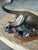 1990s "Cougar Mountain" Bronze Sculpture by Danny D. Edwards For Sale - Image 9 of 14
