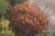 Large Hand Painted Oil Painting on Canvas Outdoor Garden Scene For Sale - Image 10 of 18