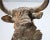 Auburn Early 20th Century Cast-Iron Architectural Bull Sculpture, 21"h For Sale - Image 8 of 10