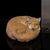 John Aynsley Vintage MCM Signed Aynsley Red Fox Figurine For Sale - Image 4 of 7
