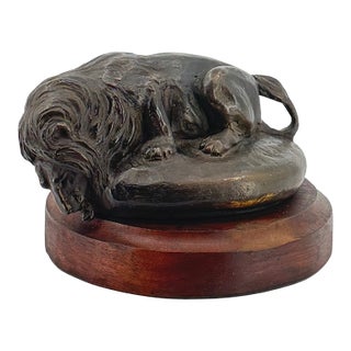 Wildlife Collection - Franco Vianello Lost-Wax Lion Sculpture - Water Hole For Sale