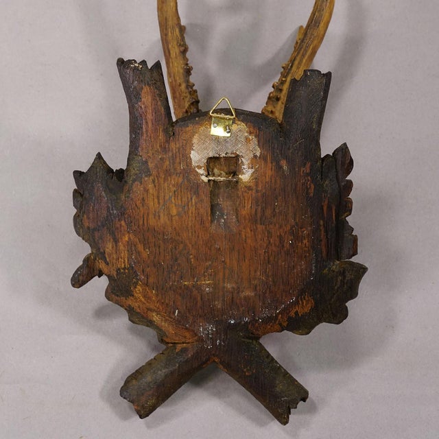 Antique Red Deer Trophy on Carved Plaque, Black Forest, Germany 1900 For Sale - Image 4 of 5