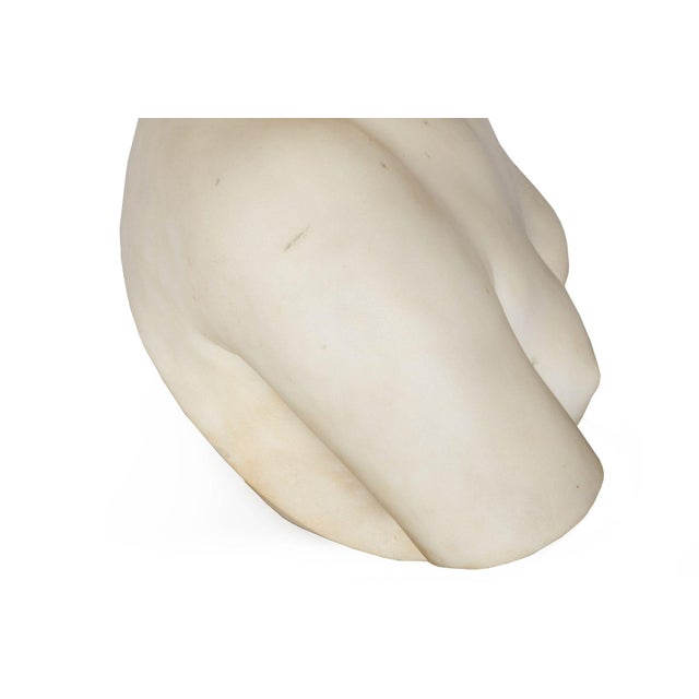 Grand Tour Marble Sculpture Statue Bust of Venus De Milo After the Antique For Sale - Image 14 of 15