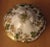 Japanese 1920s IEC & Co. Japanese Gilt Porcelain Beaded Moriage Trinket Box For Sale - Image 3 of 6