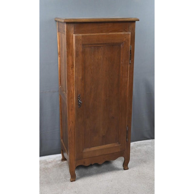 19th Century Standing Regional Cabinet in Oak For Sale - Image 14 of 18