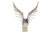 Metal 1970s Brutalist Curtis Jeré Bird in Flight Sculpture in Brass and Marble For Sale - Image 7 of 7