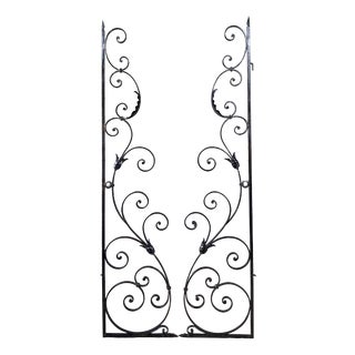 Antique Art Deco Wrought Iron Doors, 1890s, Set of 2 For Sale