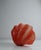 Vintage Sculptural Resin Shell Wall Sconce, 1970s For Sale - Image 4 of 18