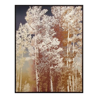 Paula Crane "Evensong I" Hand Signed LTD Ed Art Etching Trees Forest For Sale