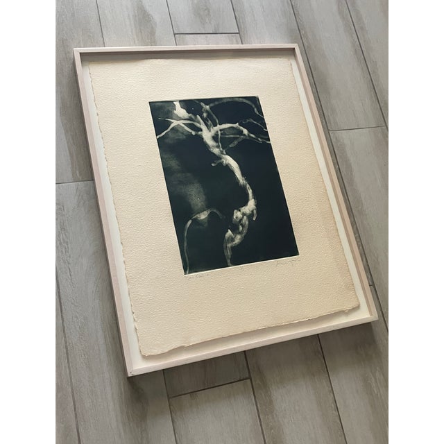 REDUCED TO SELL! Michael Mazur original monoprint, titled 'Bonsai'. This is a singular, unique monoprint and is hand-...