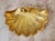 Art Nouveau Sherle Wagner Shell W/ Turtle Feet Gilded Soap/Trinket Dish For Sale - Image 3 of 15