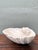Wood Vintage Italian Carved Wood Shell Bowl For Sale - Image 7 of 12