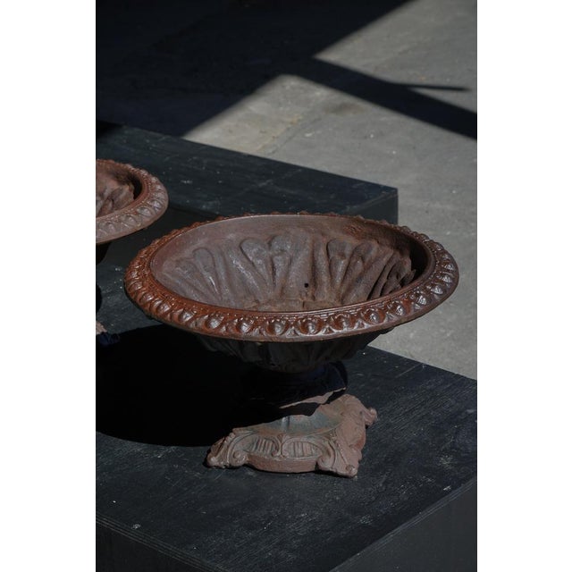 Antique Neoclassical Cast Iron Garden Vases, France, 1920s, Set of 2 For Sale - Image 4 of 15