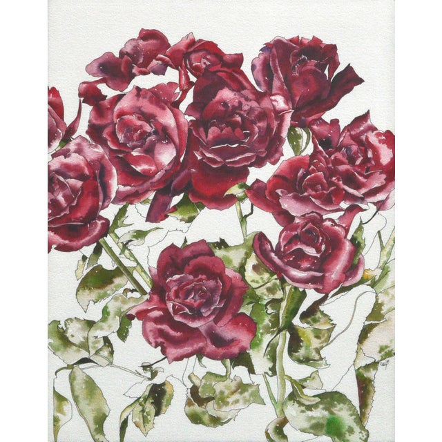 Wonderful watercolor floral study of deep red roses by California artist Deborah Eddy (American, b. 1943). Signed lower...