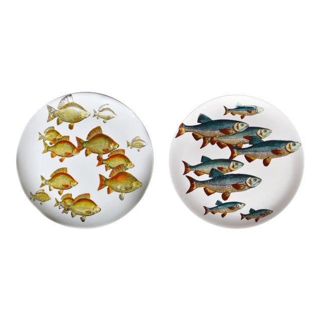 Piero Fornasetti Fish Plates, Pesci Pattern or Passage of Fish, Numbered # 2 & 3 - a Pair For Sale