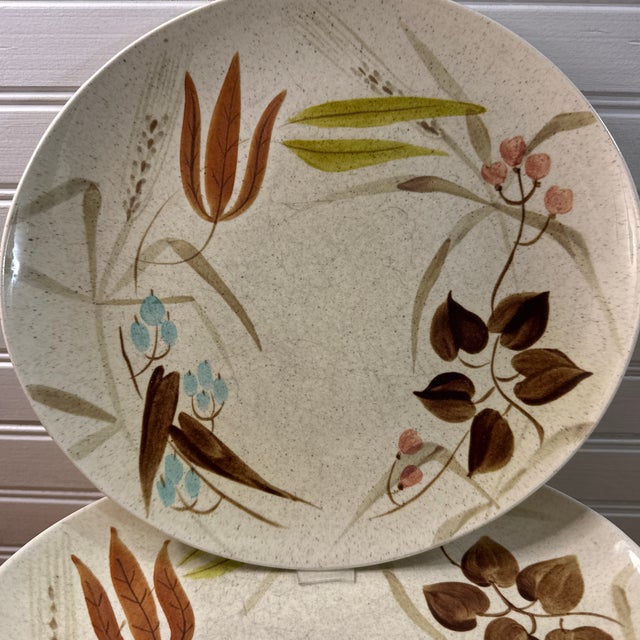 This is a beautiful set of eleven vintage ceramic dinner plates from Red Wing Pottery, showcasing the highly collectible...