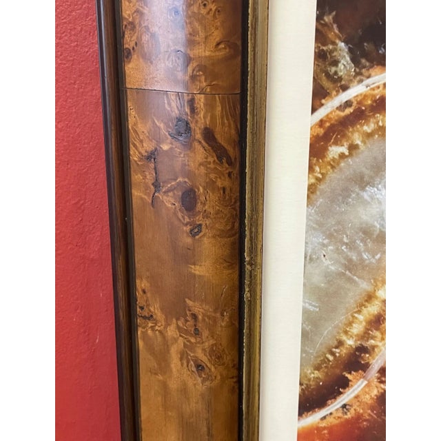 Wood Trowbridge Gallery Ben Wood Agate Nautilus Set of 3 For Sale - Image 7 of 10