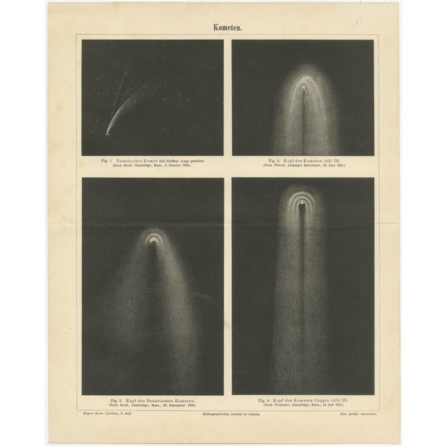 Ivory Antique Comet Study Kometen, 1890s For Sale - Image 8 of 8