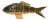 1970s Carved Reticulated Wood Fish For Sale