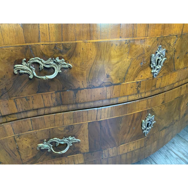 18th Century Italian Burl Walnut Commode For Sale - Image 4 of 18
