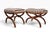 Brown Pr. Regency Revival Bench Ottomans For Sale - Image 8 of 17