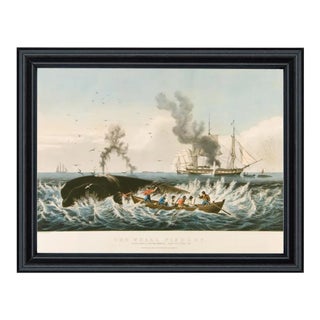 Attacking a Sperm Whale Reproduction Print Behind Glass in Black Solid Wood Frame- 11" X 14" Print, 12-3/4" X 15-3/4 Framed For Sale