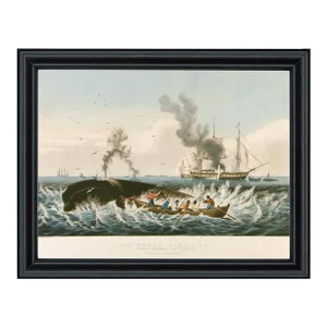 Attacking a Sperm Whale Reproduction Print Behind Glass in Black Solid Wood Frame- 11" X 14" Print, 12-3/4" X 15-3/4 Framed