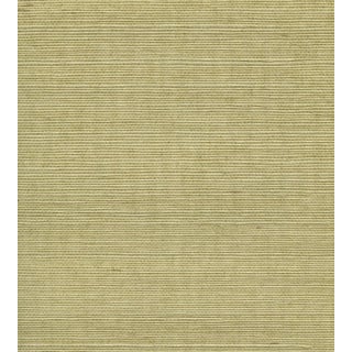 The House of Scalamandre Organic Sisal Wallcovering, Springtime For Sale